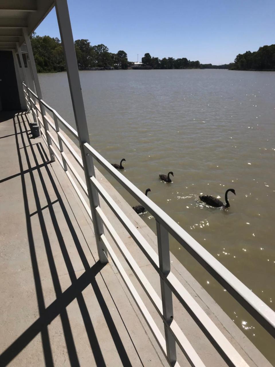 Murray River Queen Hotel Renmark Eksteriør billede
